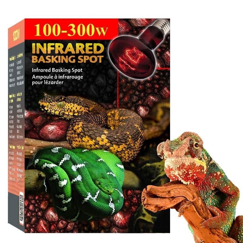 Lâmpada de Répteis Terrário