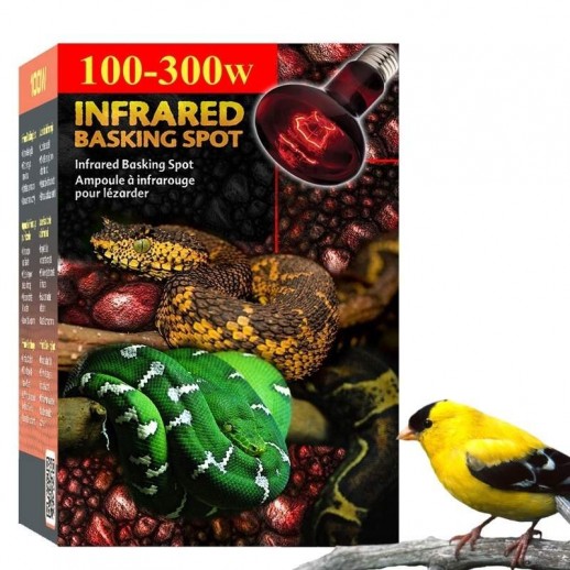 Aquecimento para Passarinhos