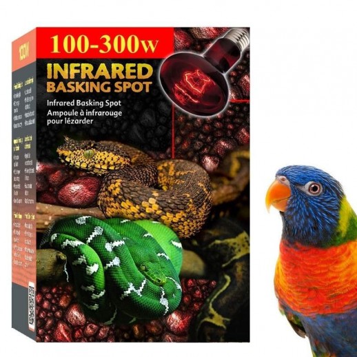 Aquecimento para Psitacídeos