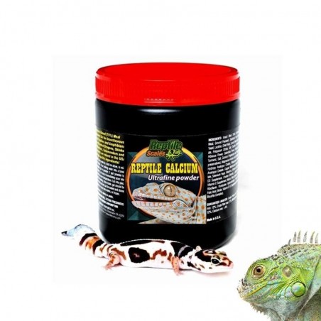 Cálcio para Iguanas