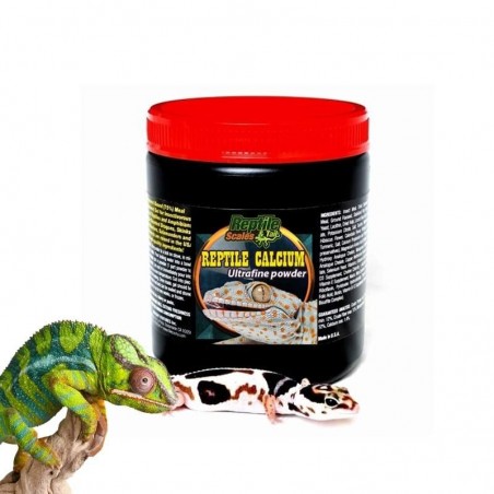 cálcio répteis