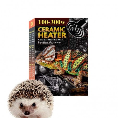 Lâmpada de Cerâmica Porco Espinho