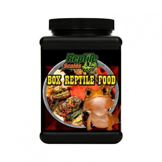 Racao para Repteis Pogona