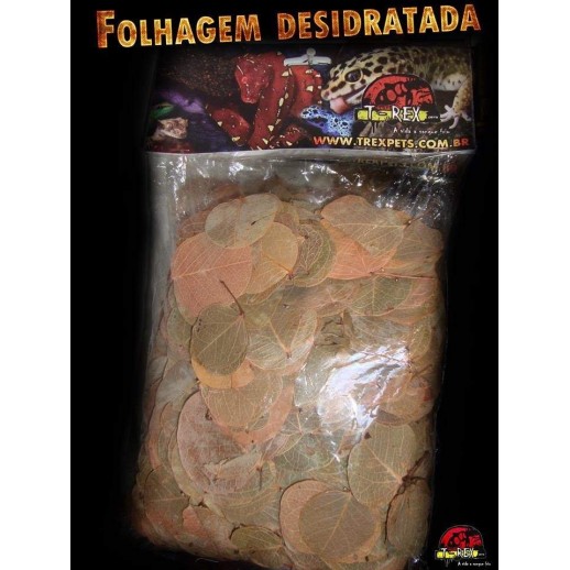Folhagem Desidratada 04