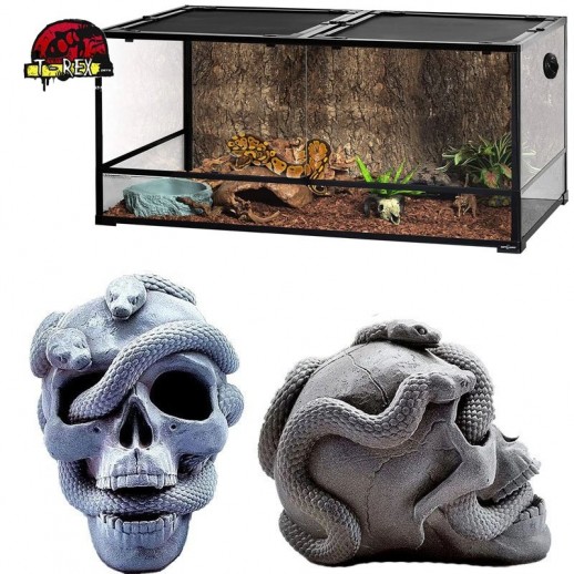 caveira para decoração de terrários e aquários