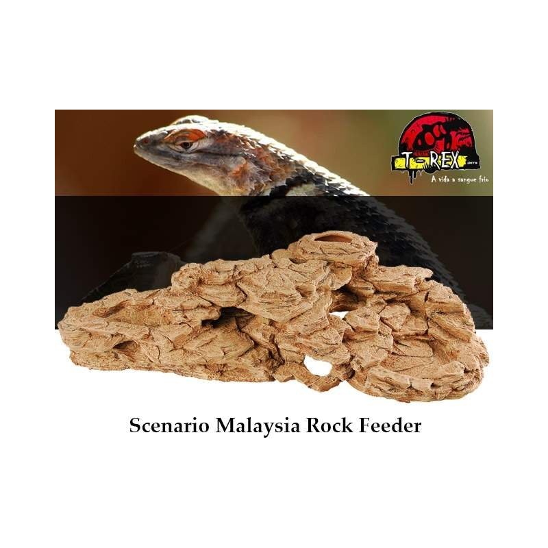Cenário Malaysia Rock | Terrário | Pogona | Gecko