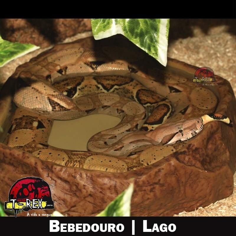 Bebedouro para Repteis