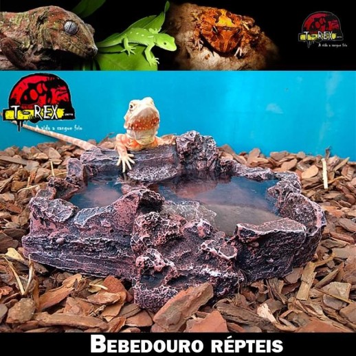 bebedouro para repteis