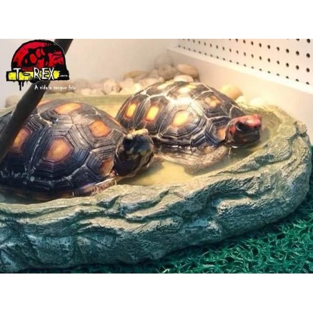 Lago | Bebedouro  XXG| Iguana | Dragão | Gecko