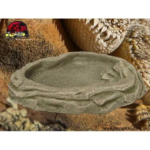 Lago | Bebedouro  XXG| Iguana | Dragão | Gecko