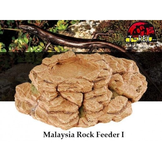 Worm Dish Répteis | Terrário | Pogona | Gecko