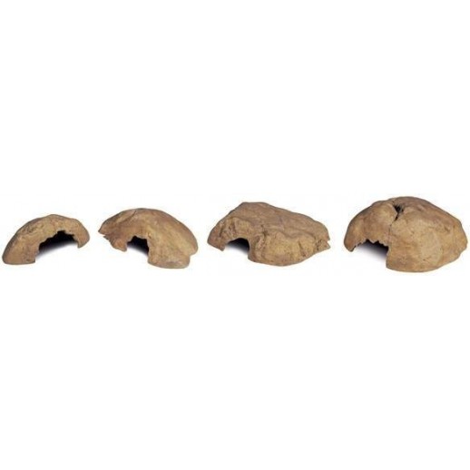 Reptile Cave Medium 