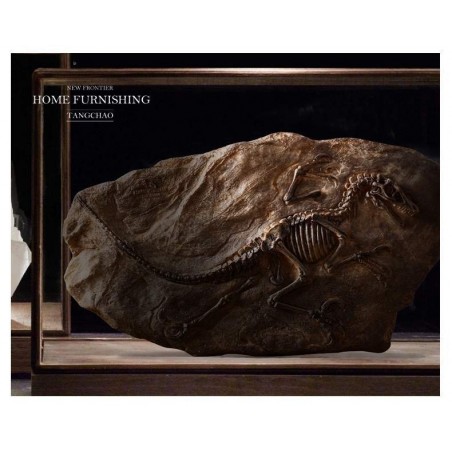 Fóssil Tiranossauro Rex