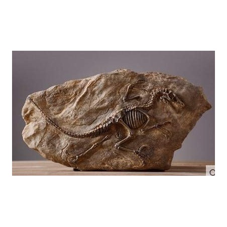 Fóssil Tiranossauro Rex