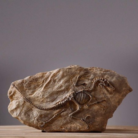 Fóssil Tiranossauro Rex