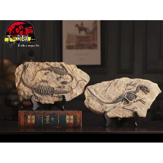 Fóssil Carcharodontosaurus - Jurassic Park - Réplica Dinossauro