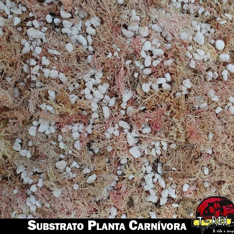 Substrato para Planta Carnívora