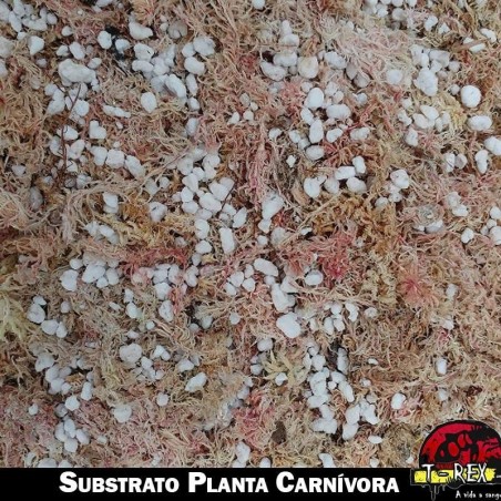 Substrato para Planta Carnívora