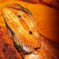 Aquecimento | Iluminação