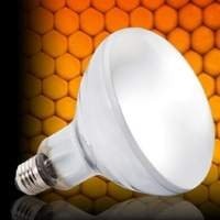 Lâmpadas Réptil - Todas