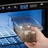 Reprodução | Incubadoras