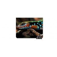 Mouse Pad de Animais Exóticos - Personalize seu espaço de trabalho!