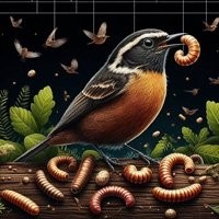 Alimento vivo para aves - Compre agora na nossa loja!