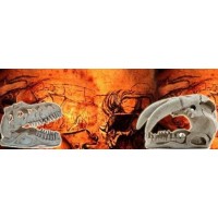 decoração-terrario