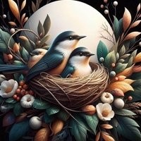 Ninhos para Aves - Ofereça Conforto e Segurança para Passarinhos, Psitacídeos, Ring Necks e Roselas